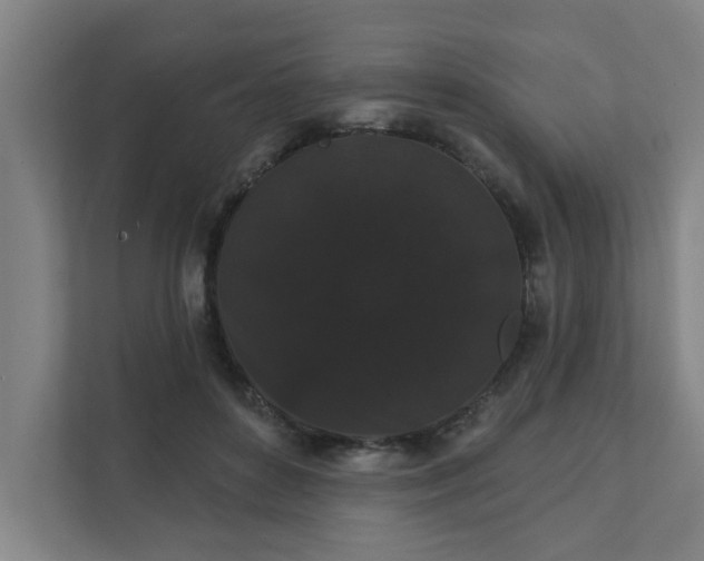 X0000111420504200907201050