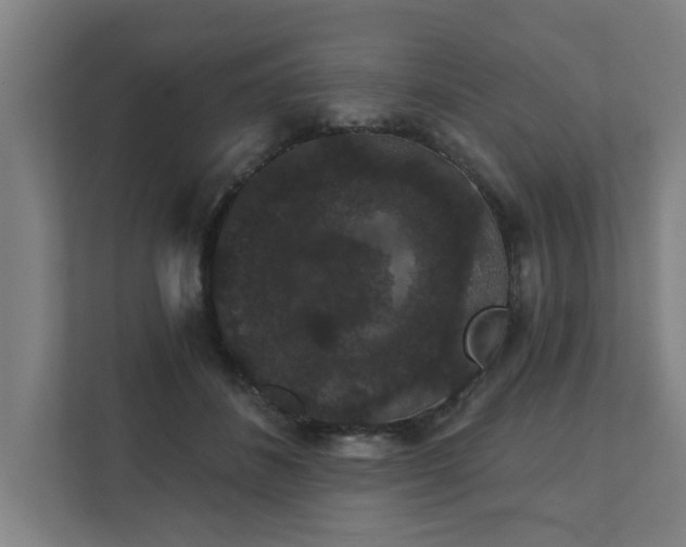 X0000111420508200907201050