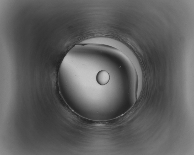 X0000111420509200907201050