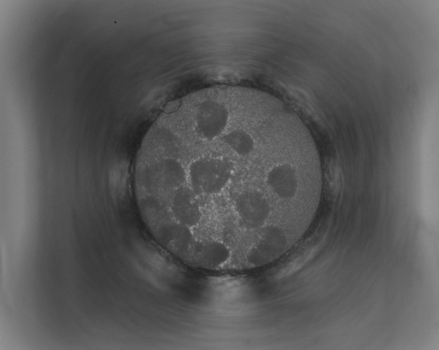 X0000111420511200907201050