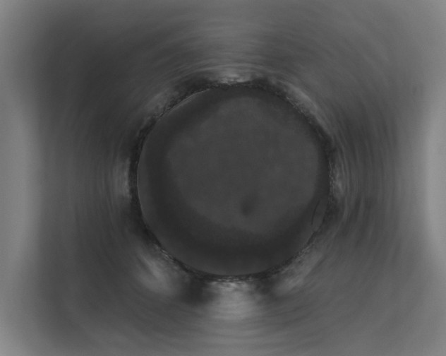 X0000111420512200907201050