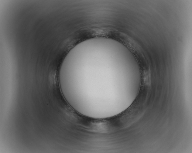 X0000111420514200907201050