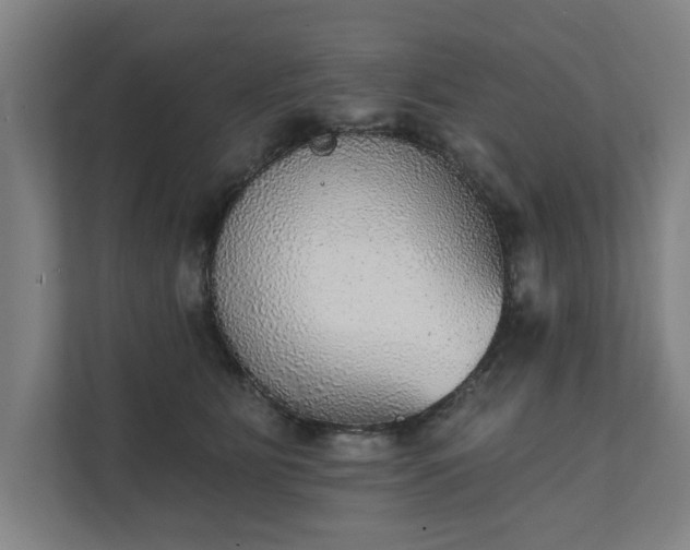 X0000111420515200907201050