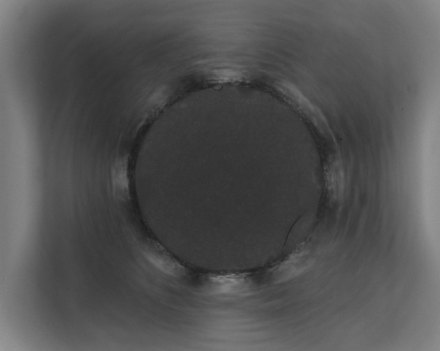 X0000111420516200907201050