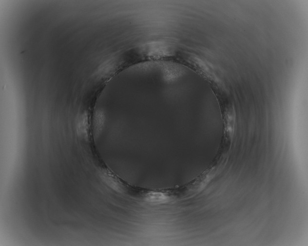 X0000111420519200907201050