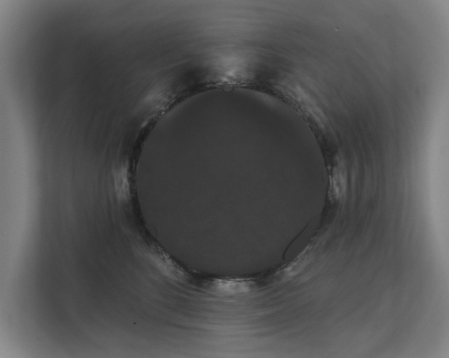 X0000111420520200907201050