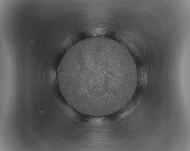 X0000111420523200907201050