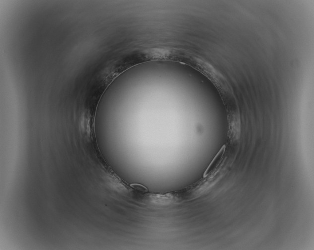 X0000111420525200907201050