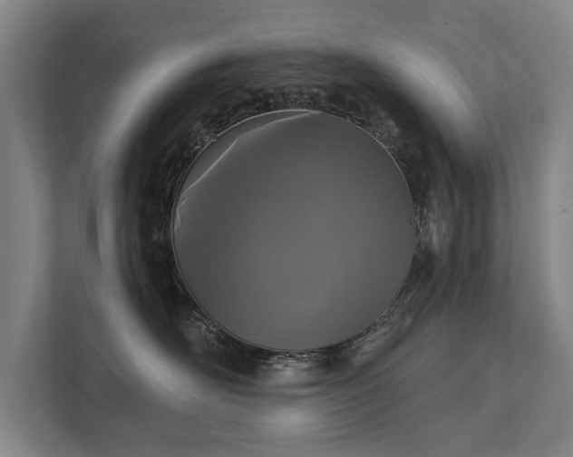 X0000111420526200907201050