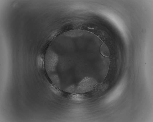 X0000111420527200907201050