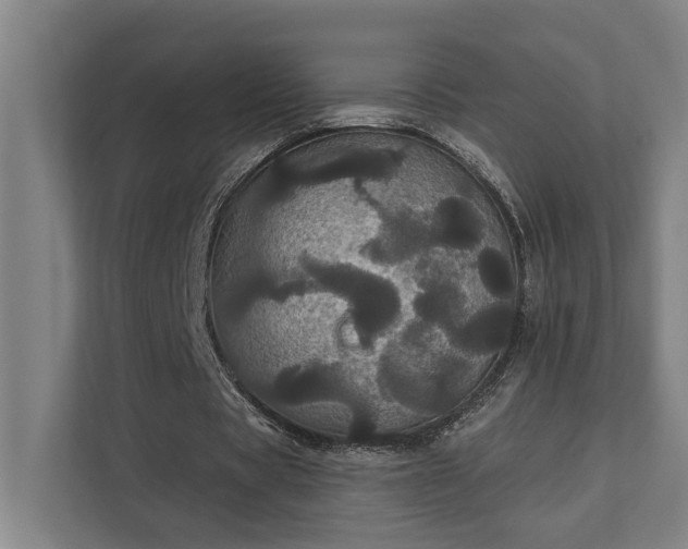 X0000111420529200907201050