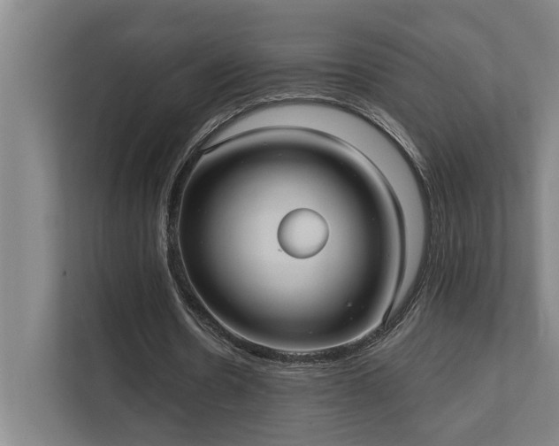 X0000111420530200907201050