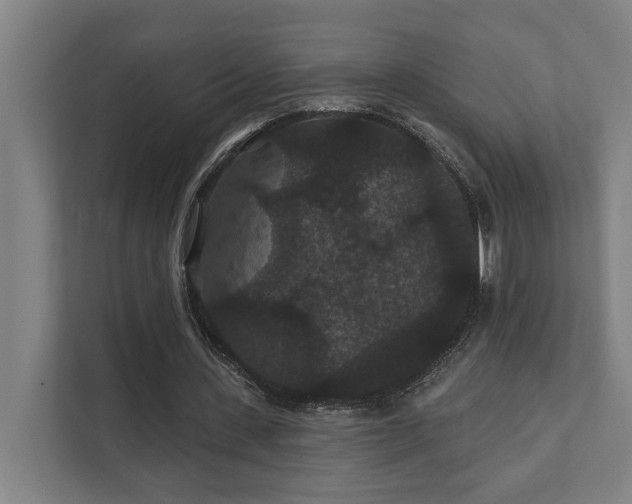 X0000111420531200907201050