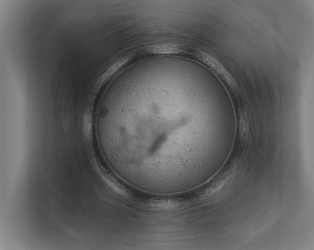 X0000111420533200907201050