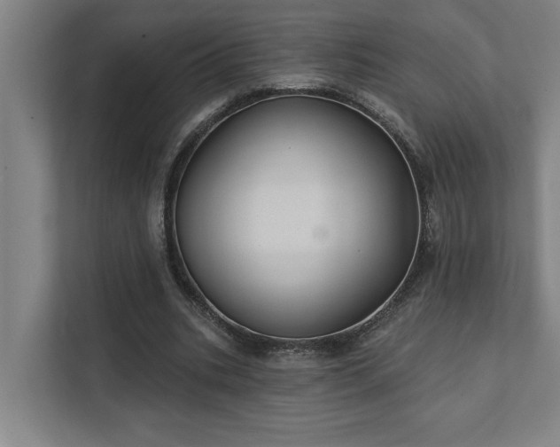 X0000111420535200907201050