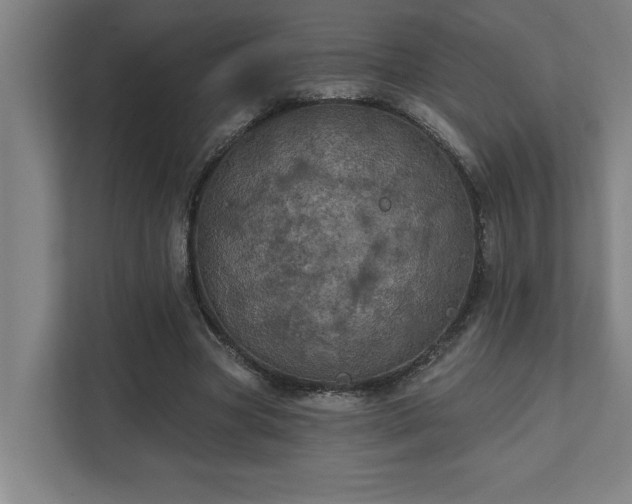 X0000111420537200907201050