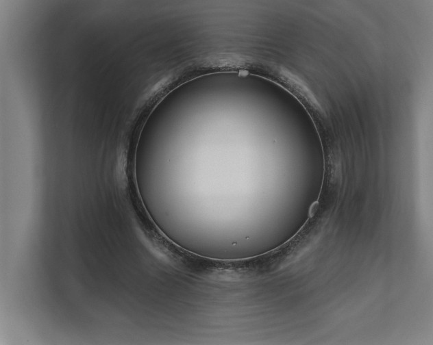 X0000111420538200907201050