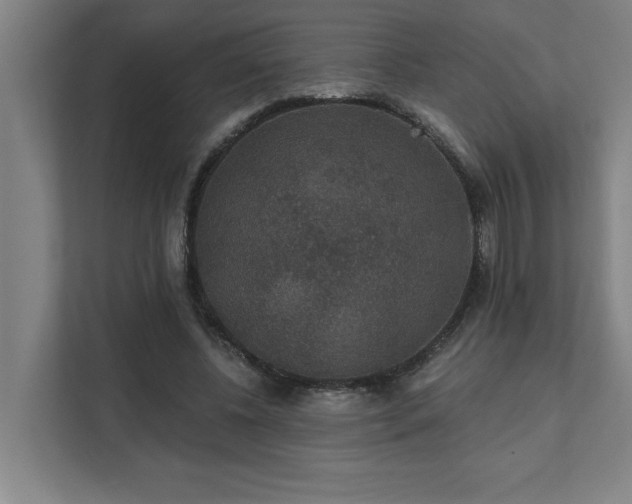 X0000111420540200907201050