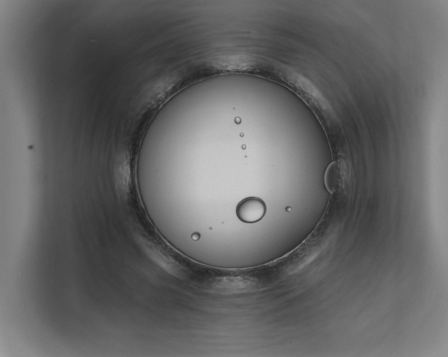 X0000111420541200907201050