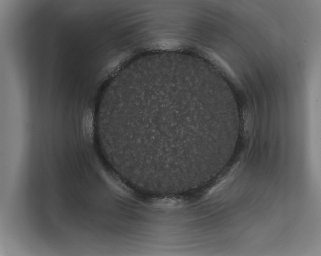 X0000111420542200907201050