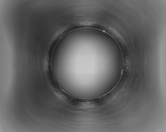 X0000111420544200907201050