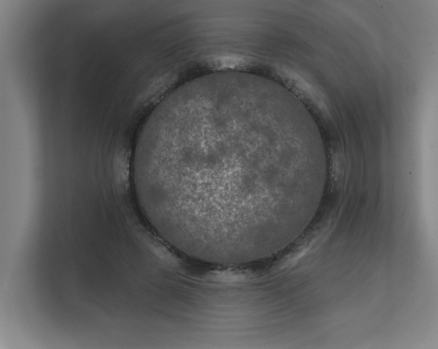 X0000111420545200907201050