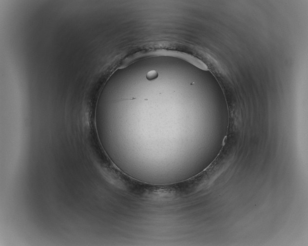 X0000111420546200907201050