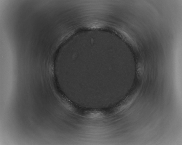 X0000111420547200907201050