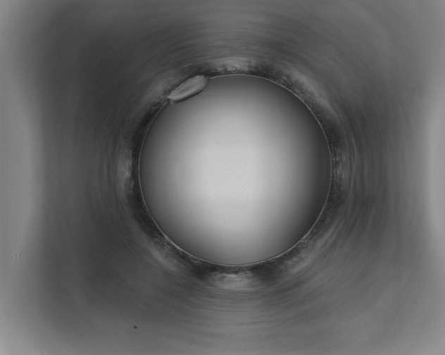 X0000111420548200907201050