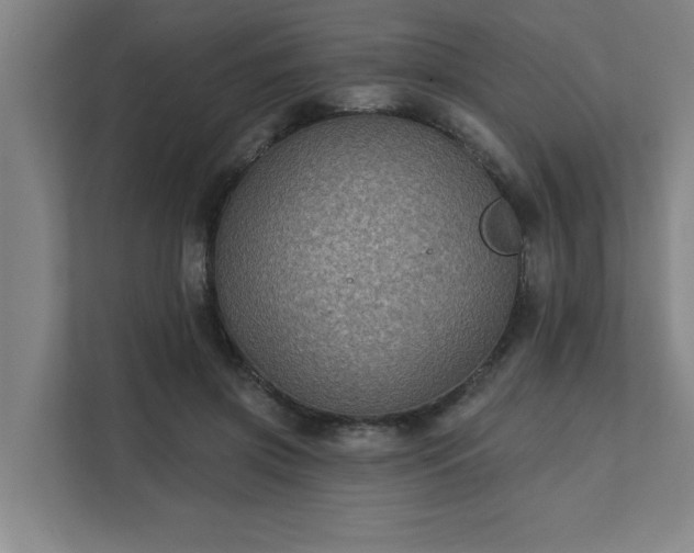 X0000111420549200907201050