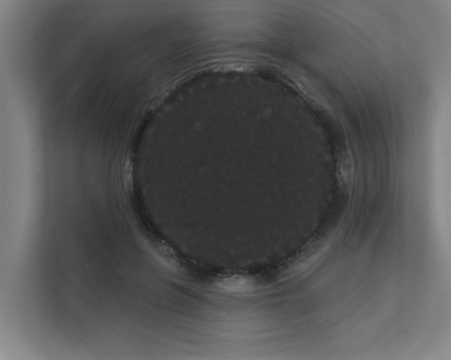 X0000111420551200907201050