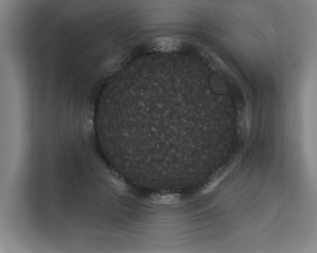 X0000111420553200907201050