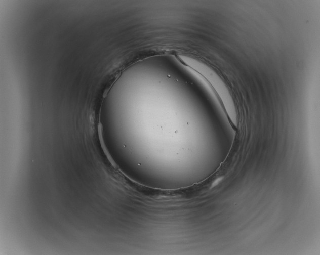 X0000111420556200907201050