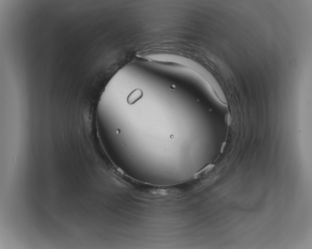 X0000111420558200907201050