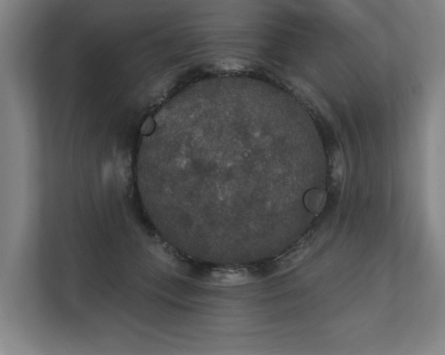 X0000111420559200907201050