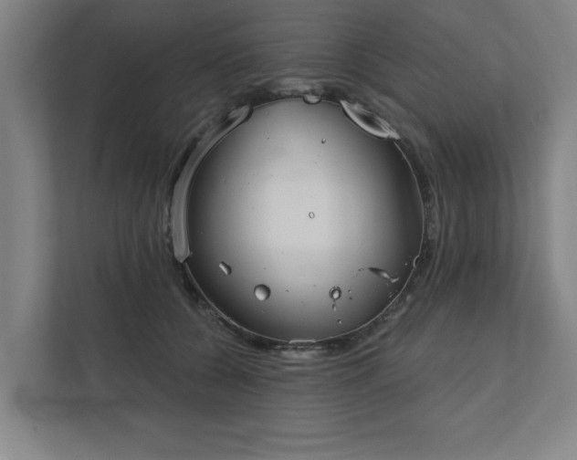 X0000111420560200907201050