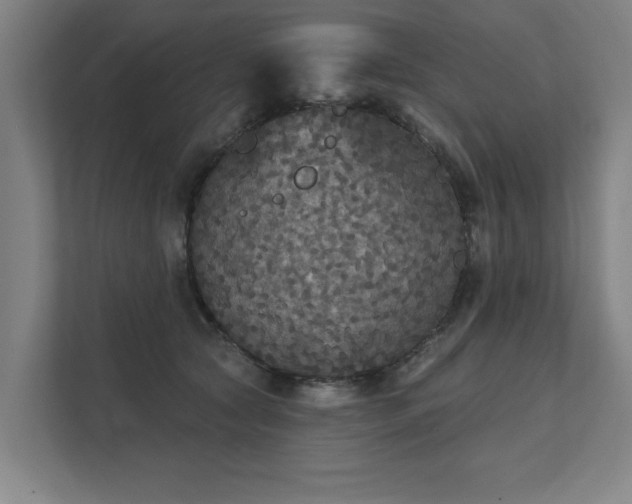 X0000111420561200907201050