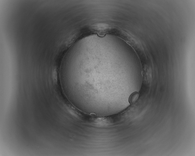 X0000111420562200907201050