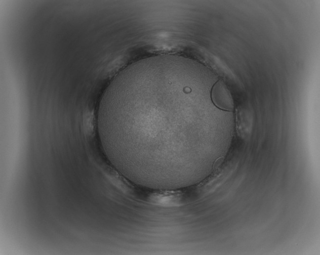 X0000111420563200907201050