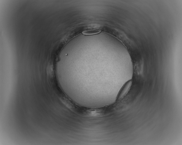 X0000111420564200907201050