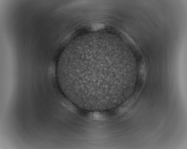 X0000111420565200907201050