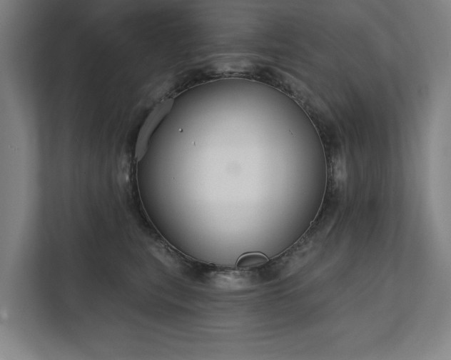 X0000111420567200907201050