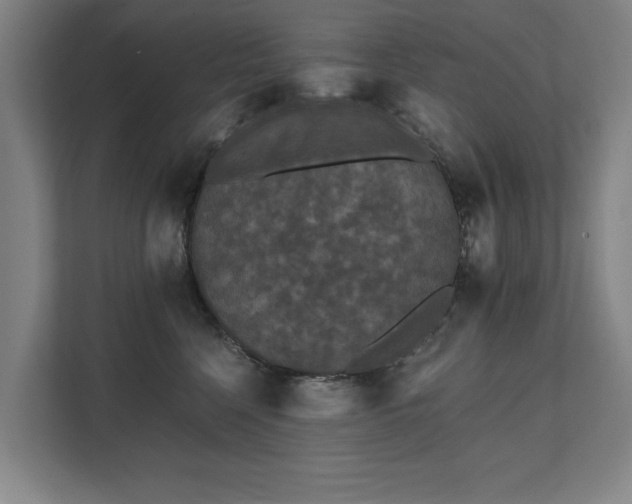 X0000111420568200907201050