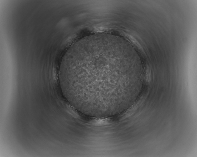 X0000111420569200907201050