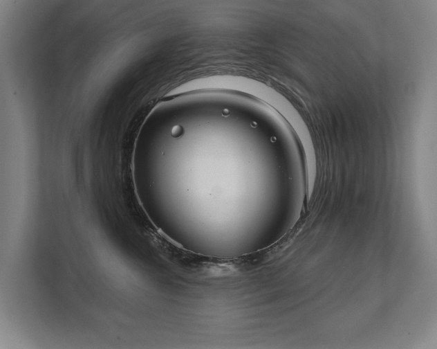 X0000111420572200907201050