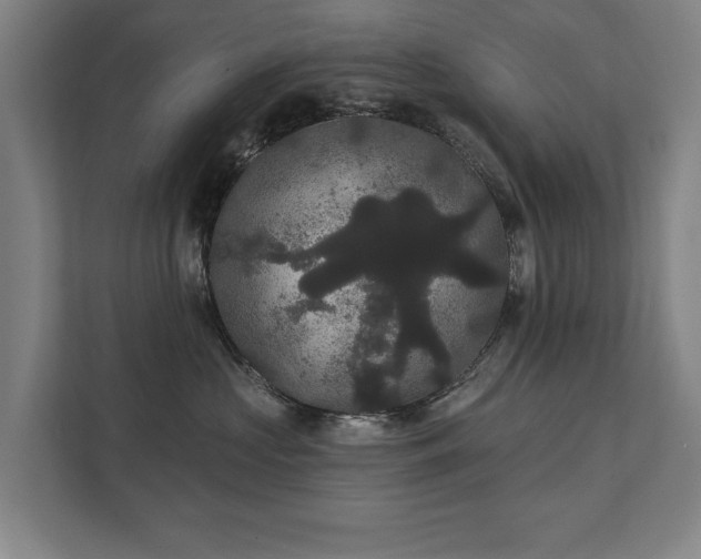 X0000111420573200907201050