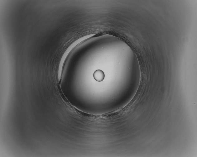 X0000111420576200907201050