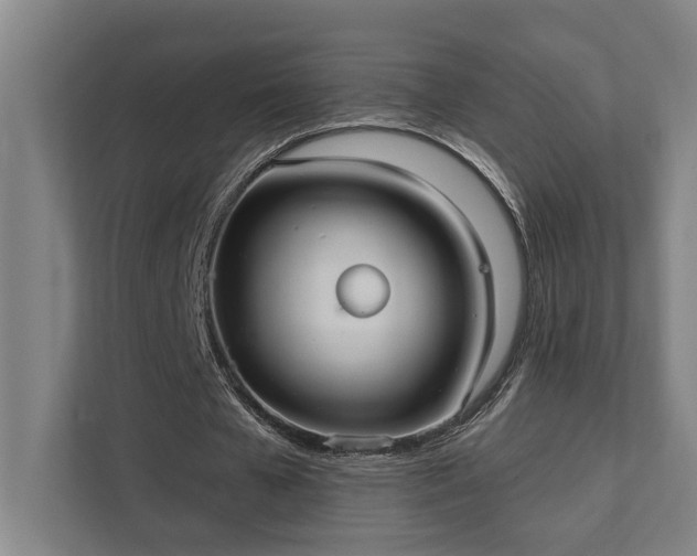 X0000111420577200907201050