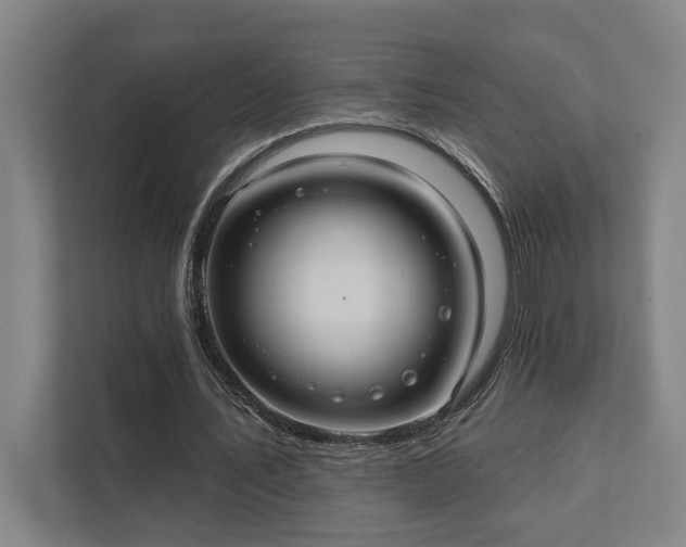 X0000111420579200907201050