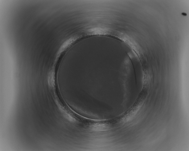 X0000111420581200907201050